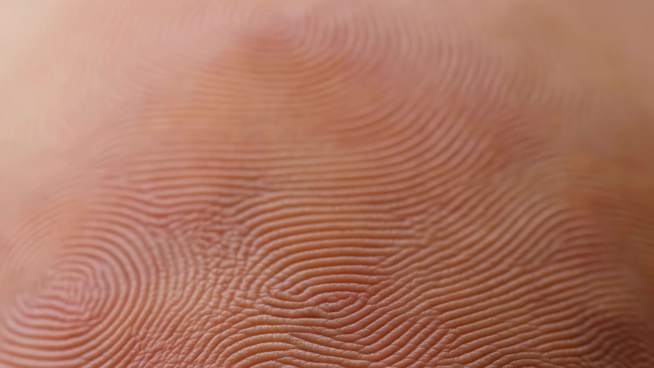 Vinkelrett makrovisning av menneskelig fingertupp som avslører tette konsentriske fingeravtrykksrygger, sentral virvelkjerne, fine porer, grunne furer og glatt hydrert hudtekstur under varmt diffust lys