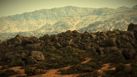 rocky mountain landscape