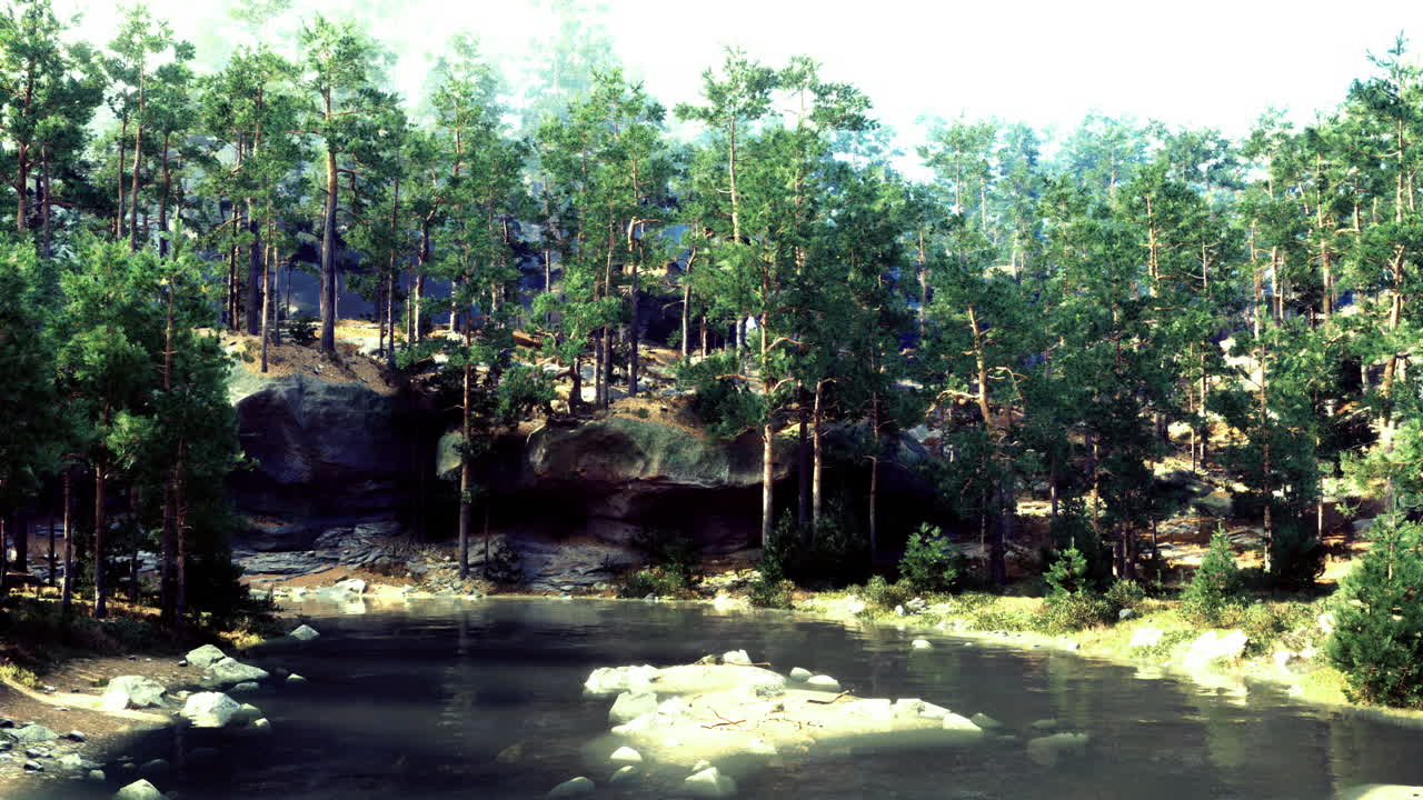 Peaceful forest landscape with a tranquil river and natural scenery