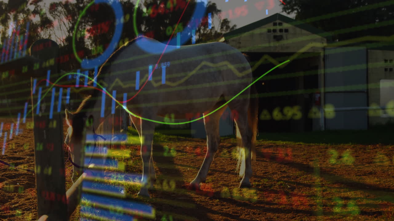 White horse grazing behind rail fence while translucent stock charts floating over grass at sunset