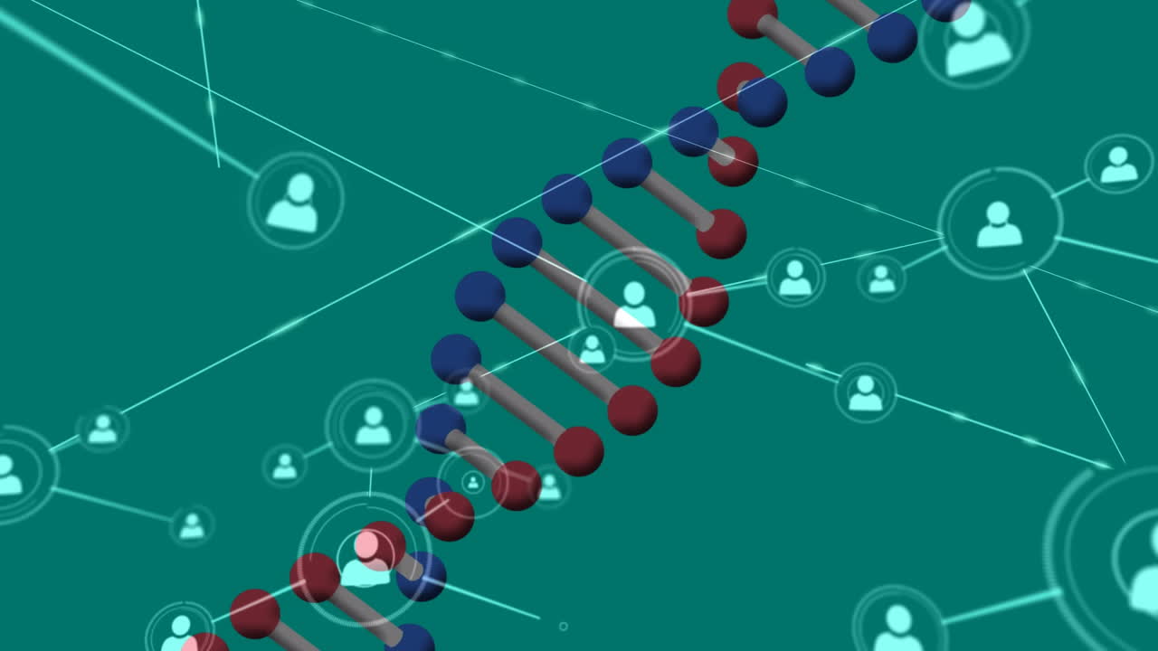 animación de la cadena de adn y la red de conexiones en fondo verde
