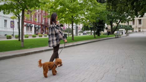 a woman walks her poodle down a city street