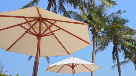paisaje de playa tropical, sombrillas y cocoteros en un día soleado de playa, vista de ángulo bajo en cámara lenta
