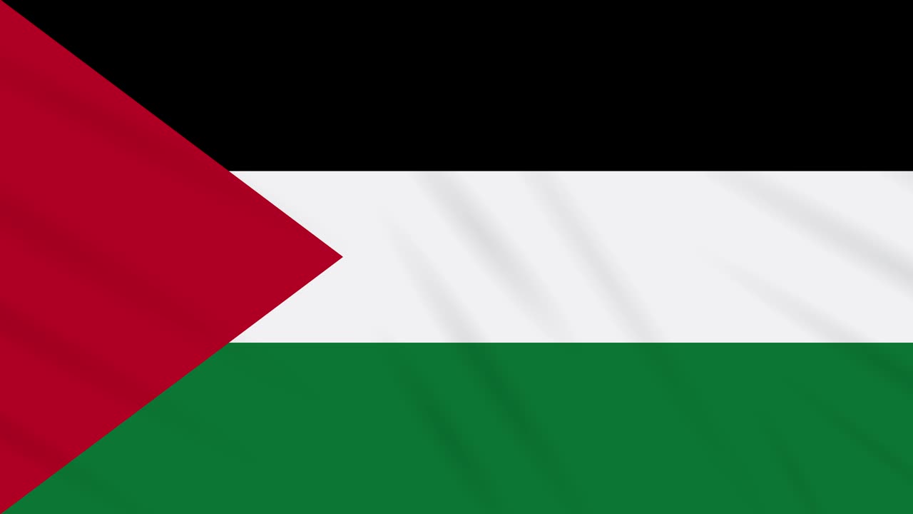 팔레스타인 발을 흔드는 천 배경, 루프