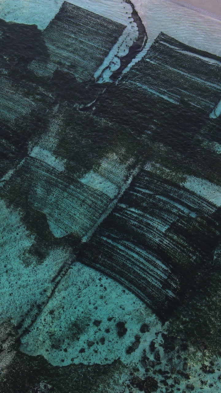 Aerial View Of Seaweed Farm Seen On Clear Water In Indonesia. - vertical shot