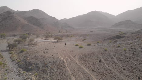 aerial revealing shot from drone of an young male walking in a rocky desert valleys in hatta, united arab emirates