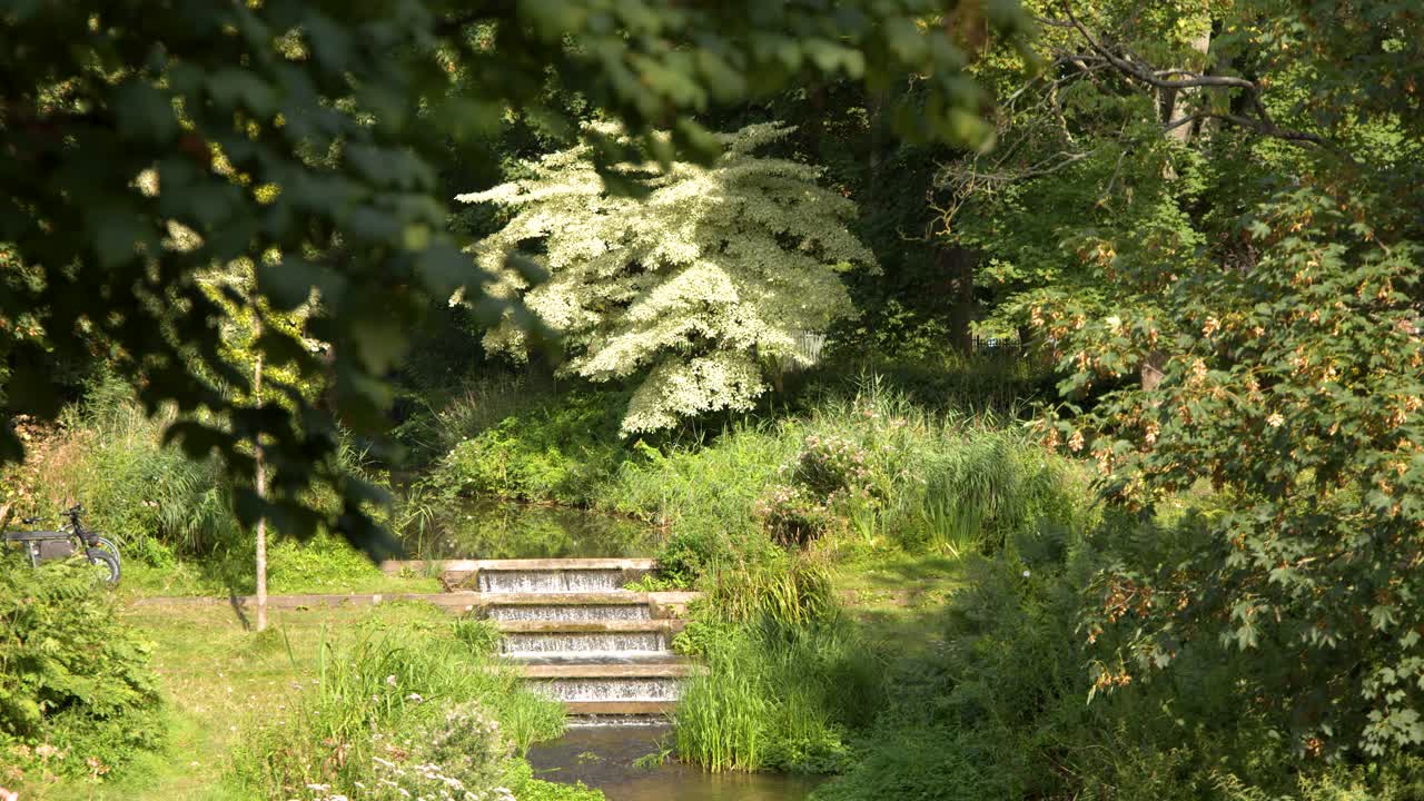 Static shot of wooden steps, lush greenery, and water in bright summer daylight, Amsterdam park