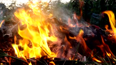 slow motion flame fire and smog is burning garbage or waste  on dark background