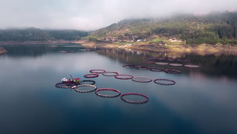 fish farm with floating circle cages.