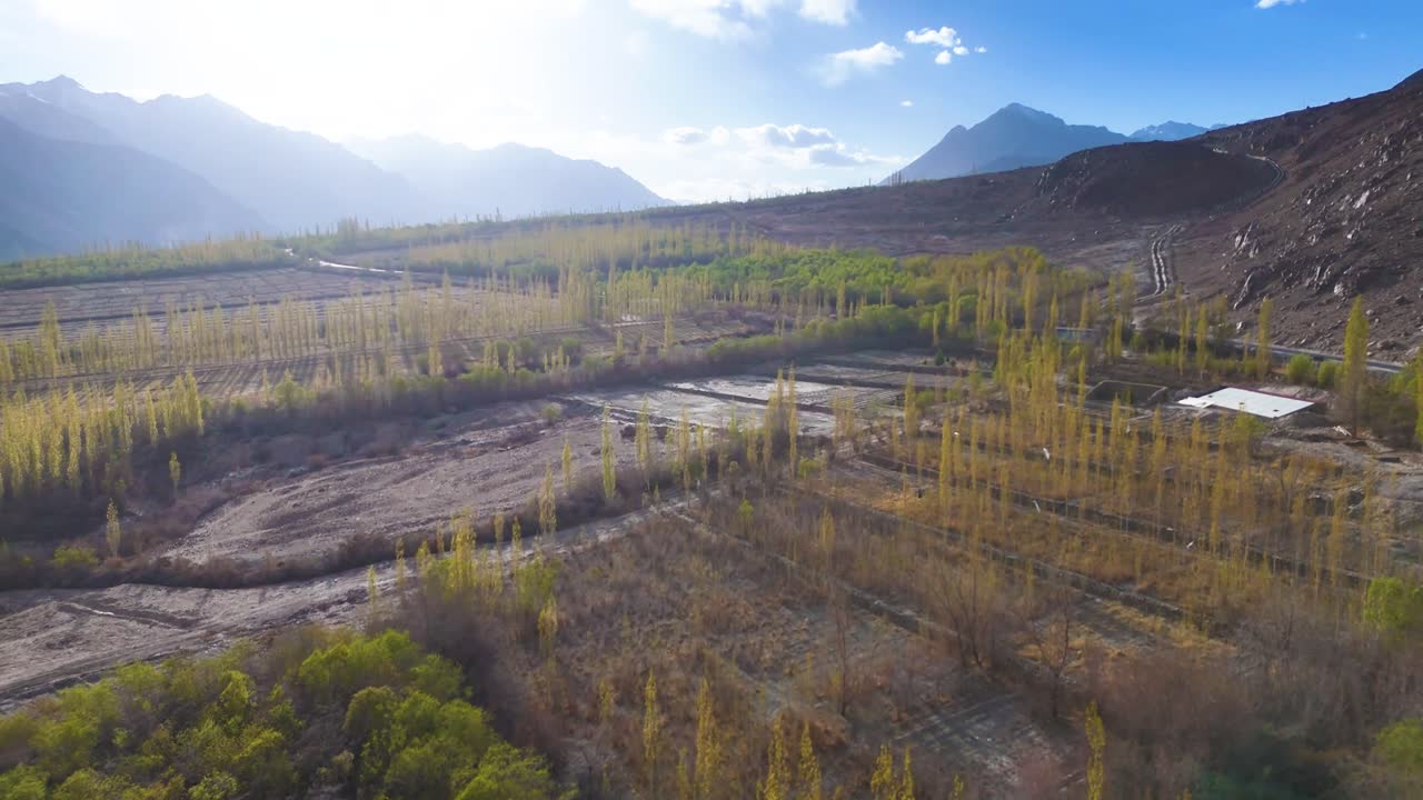Aerial drone shot showcasing a rare green valley in Ladakh, surrounded by arid hills and rugged terrain.