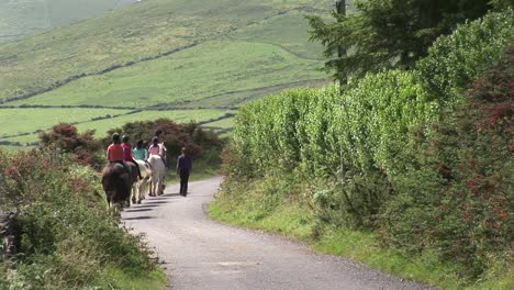 Horse-Riding