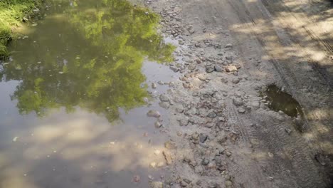 Nasser-Schotterweg-Mit-Pfütze-Und-Reflektierender-Baumstatik-In-4k