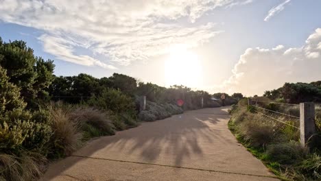 pathway through lush greenery at sunset