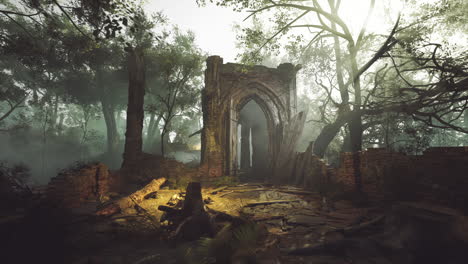 mysterious ruins in a foggy forest