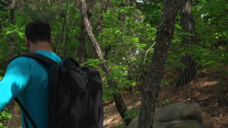 rear view of an active adult man with black backpack hiking on steep slope spring forest path - following pov