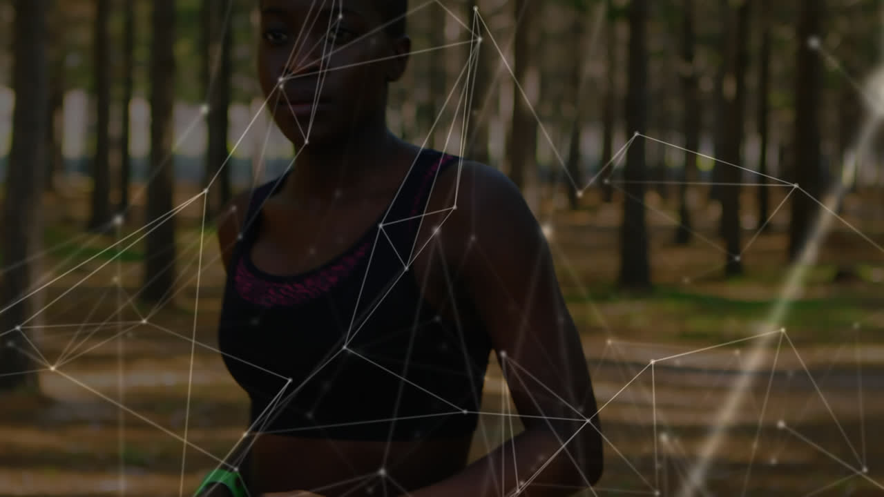 animation du réseau de connexions sur l'exercice des femmes dans la forêt