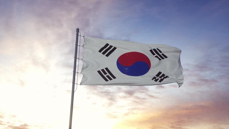 Bandiera della Corea del Sud che sventola al vento, con sfondo di cielo drammatico. 4K.
