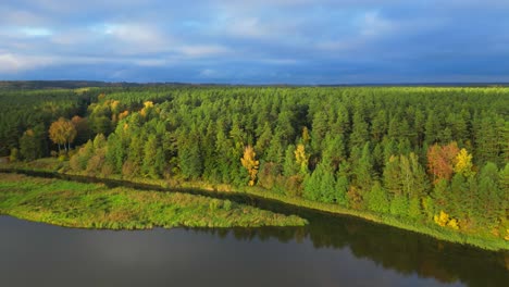 Fondo-Soleado-Del-Bosque-Otoñal-Junto-Al-Lago-Movimiento-De-Drones-Hacia-Adelante