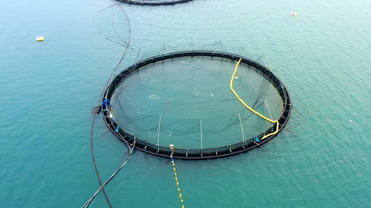 노르웨이에서 연어  ⁇ 시를 하는 공중 촬영