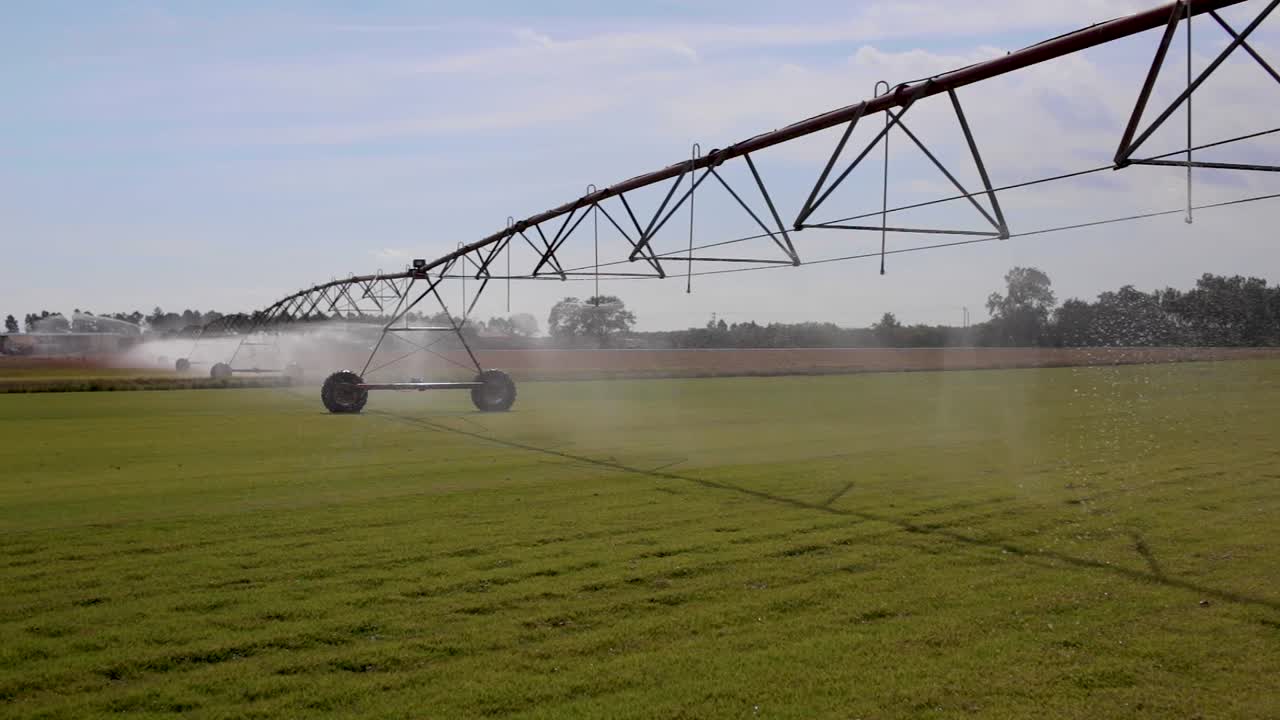 grandes rociadores de equipos agrícolas regando el amanecer de la mañana en una granja comercial