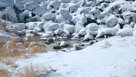 small stream in the frozen river bed