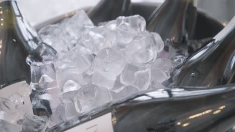 wine bottles in ice bucket