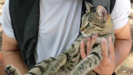 man gently holding a grey tabby cat outdoors