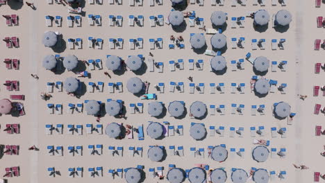 top down aerial footage of tourists under blue umbrellas and on blue chairs at the beach in bari, italy during the day