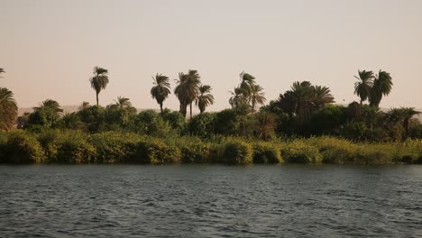 The-shore-of-an-oasis-river-with-palm-trees