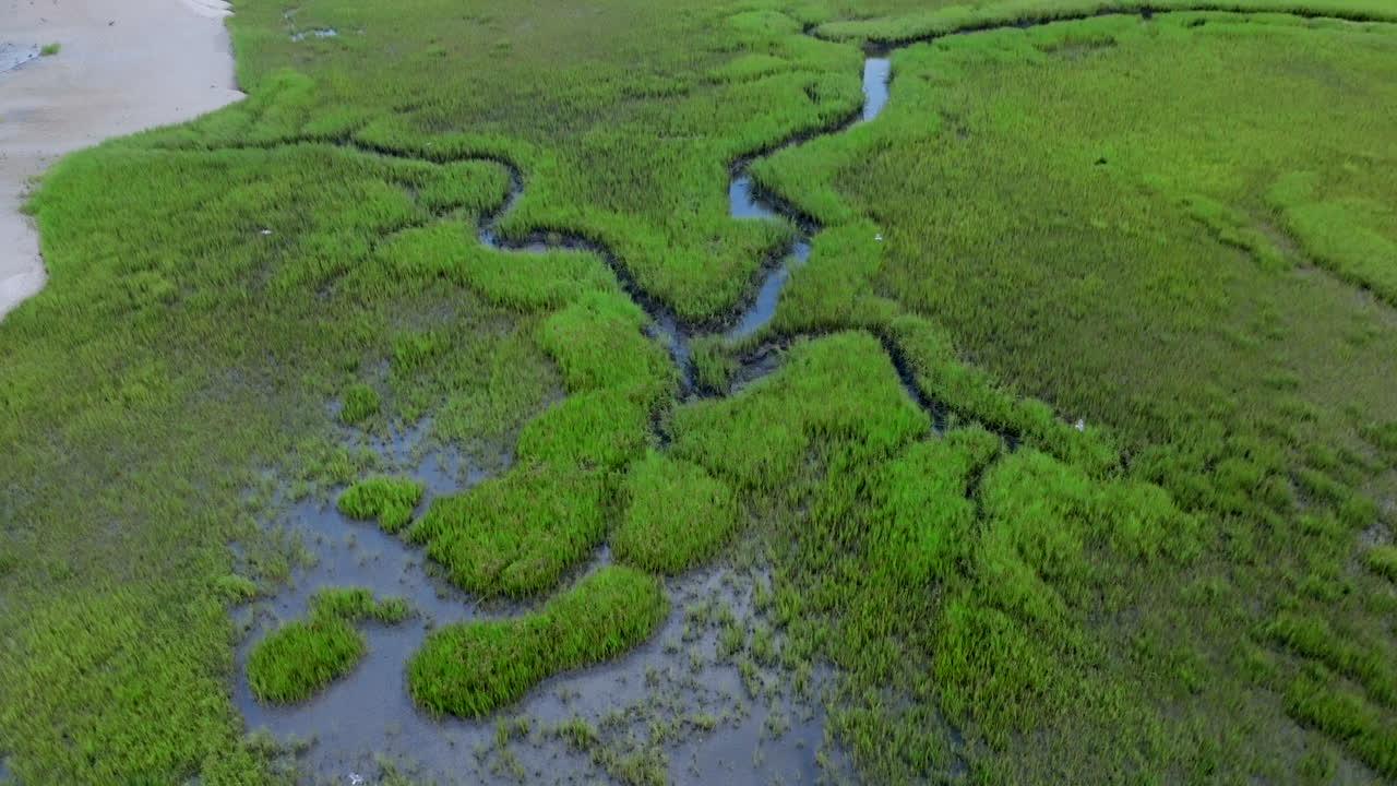 Aerial View of Lush Green Marshlands with Winding Waterways
