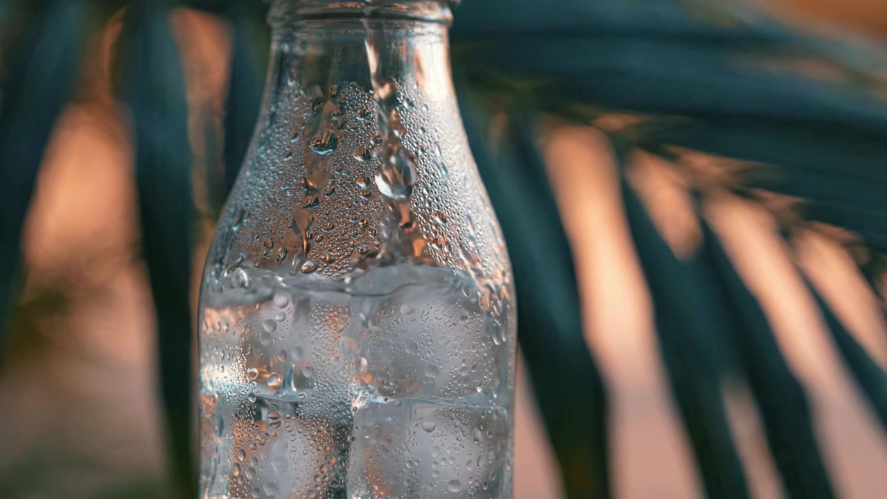 A clear glass bottle filled with ice-cold water, showcasing condensation on its surface, set against a vibrant and colorful blurred background of palm leaves.