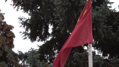 waving red flag of china in wind . flag seamless loop republic of china