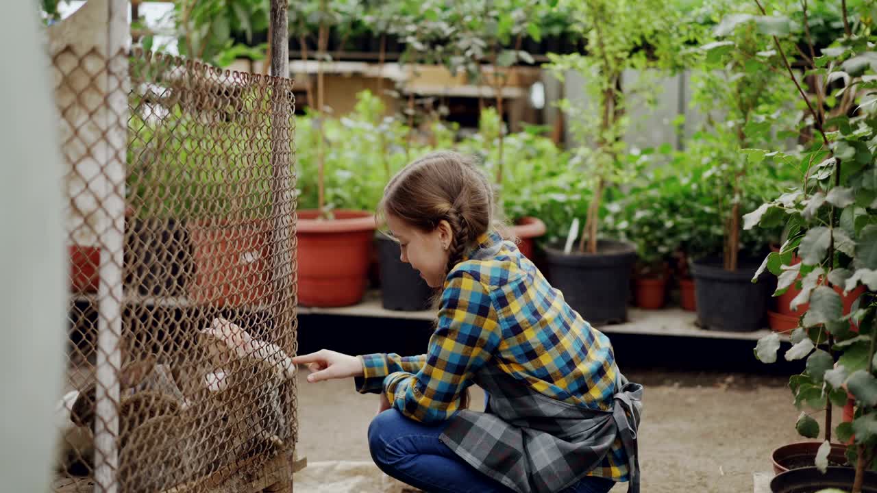 una niña feliz está viendo conejos enjaulados en el invernadero, tocándolos y hablando con animales divertidos. plantas verdes y interior del invernadero en el fondo.