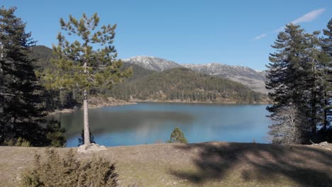 Langsamer-Luftflug-Neben-Einem-Baum,-Der-Den-Aoos-Frühlingssee-In-Griechenland-Enthüllt