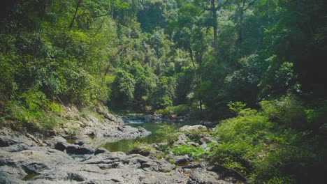 Bosque-Exuberante-Y-Río-Sereno-En-El-Parque-Nacional-De-Khao-Sok,-Tailandia