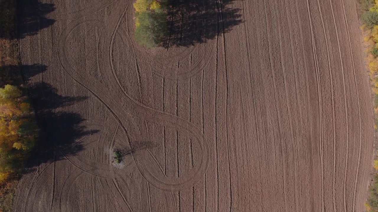 Drone footage looking straight down at freshly plowed agricultural field with curved tractor tire tracks and forest edge in autumn light, Ural, Russia