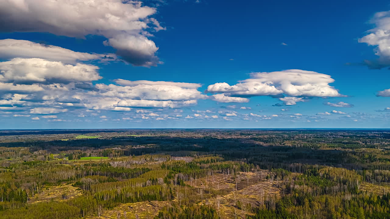 Green forest landscape under clear blue sky with scattered clouds, hyperlapse shot