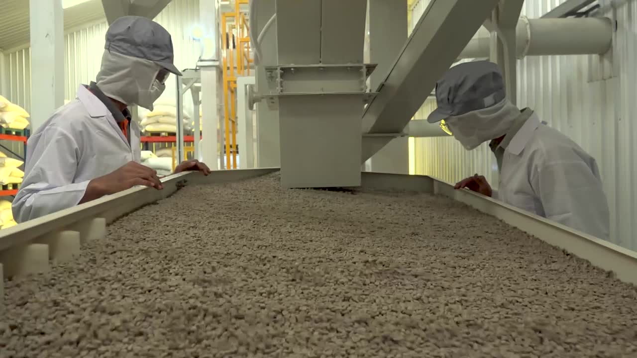 Coffee Factory
The Making Of Coffee Bean
29.97fps
