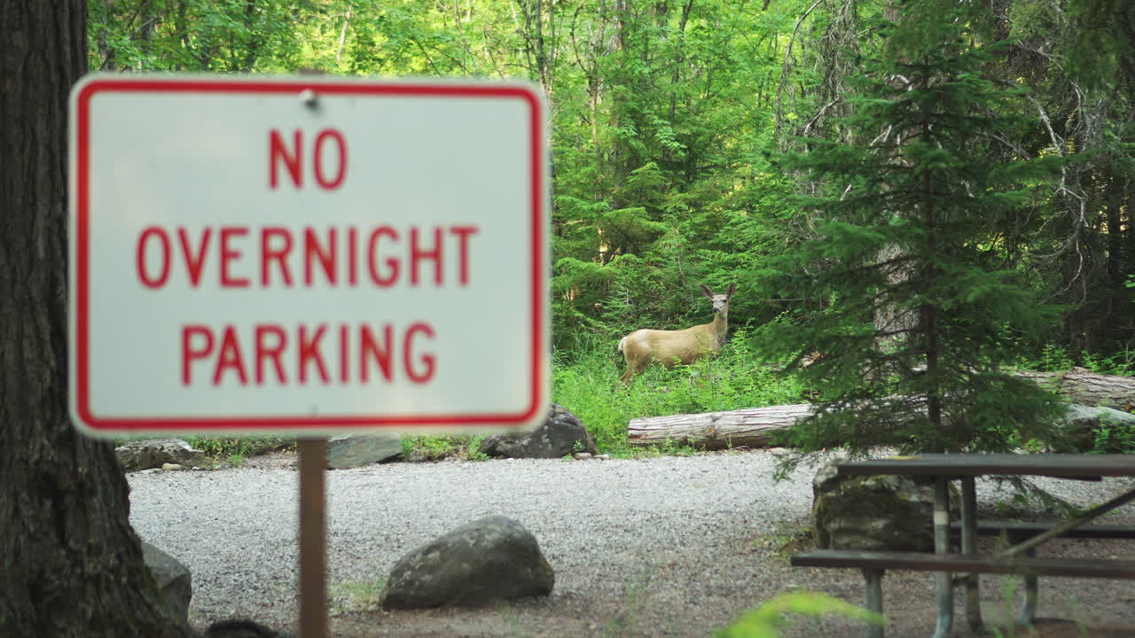 glacier np 캠프장 및 크릭에 야간 주차 금지 표지판