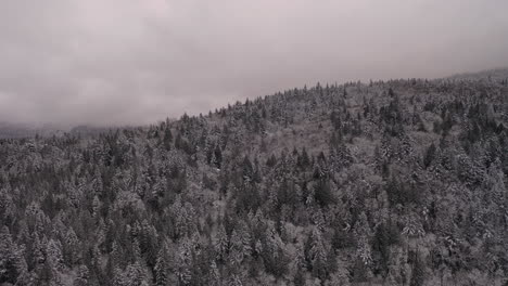 Aerial-view-of-a-evergreen-tree-covered-mountain-landscape-after-a-snow-storm