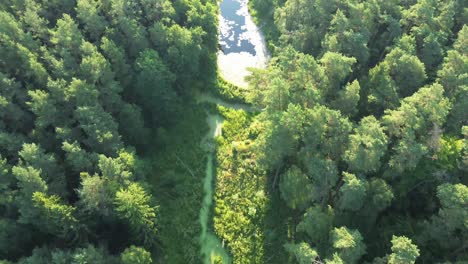 „Die-Europäische-Morgendämmerung-Entfaltet-Sich,-Während-Die-Drohne-Anmutig-Einen-Ruhigen-See,-Einen-üppigen-Wald-Und-Eine-Elegante-Brücke-Erkundet-–-Eine-Faszinierende-Vogelperspektive-Und-Eine-Malerische-Aussicht-Vom-Himmel