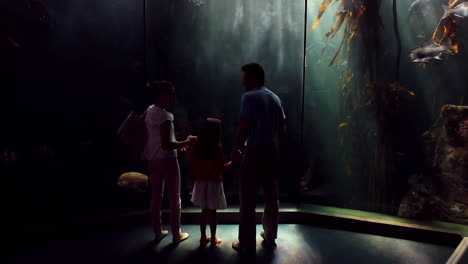 familia feliz mirando a los peces en el tanque
