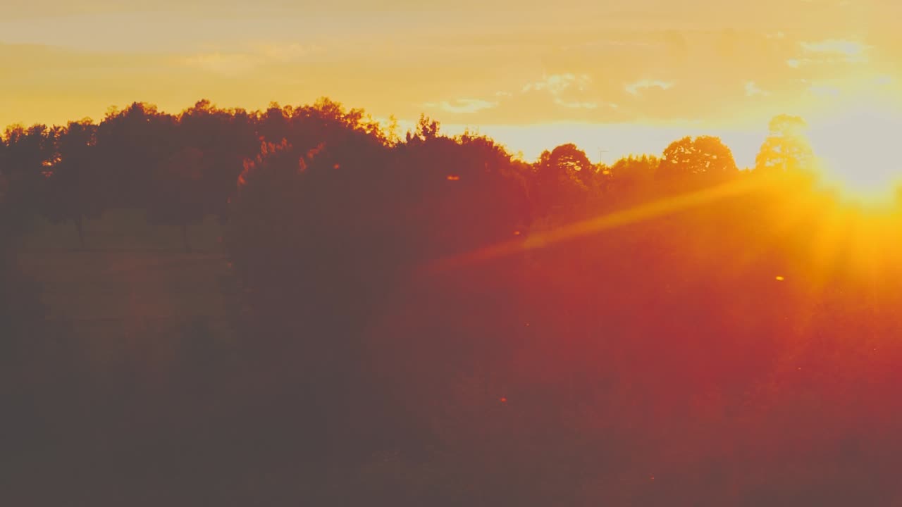 insectos volando alrededor en una puesta de sol naranja