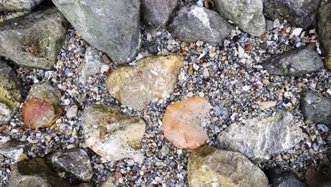 close-up view of rocks and pebbles