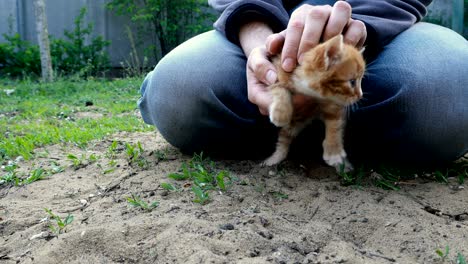 man holding and stroking a small kitten