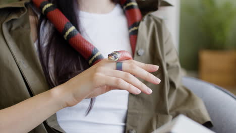 close up of a female hand holding a pet snake at home 1