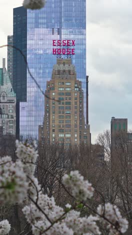 manhattan iconic skyline as seen from central park