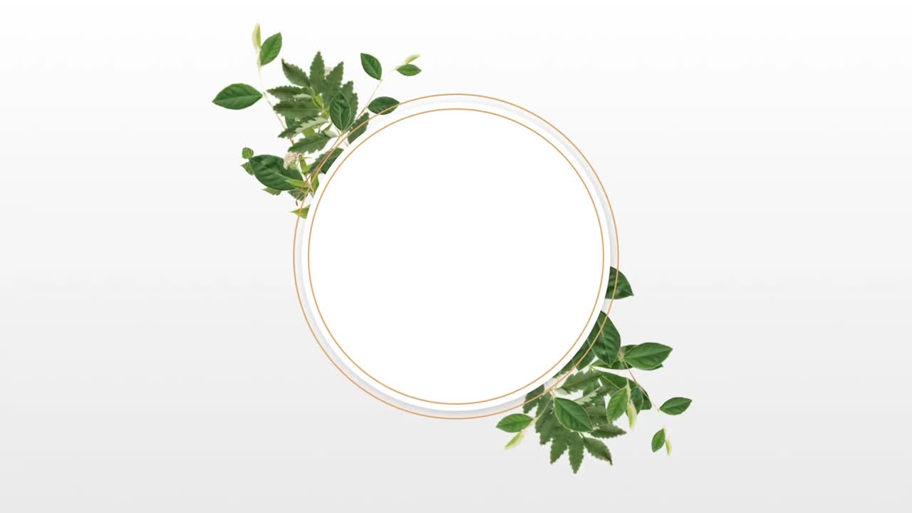 장식 식물 을 가진 복사 공간 을 위한 사진 프레임