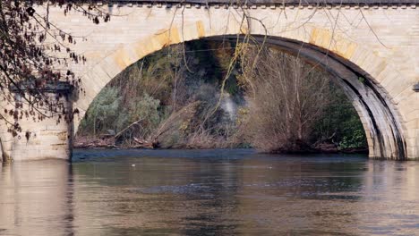 stone arch bridge over a river