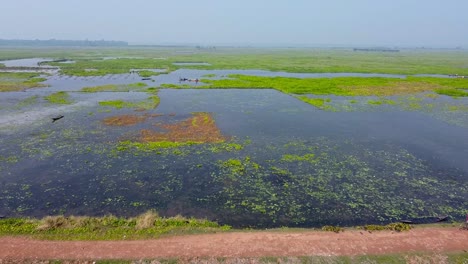 Bortirbil,-Kalkutta:-Luftaufnahme-Von-Landwirtschaftlichen-Ackerflächen-Mit-Kulturen,-Die-Nach-Der-überschwemmung-In-Wasser-Getaucht-Sind